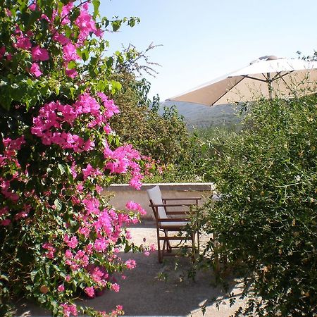 Villa Ouranos Kíszamosz Kültér fotó