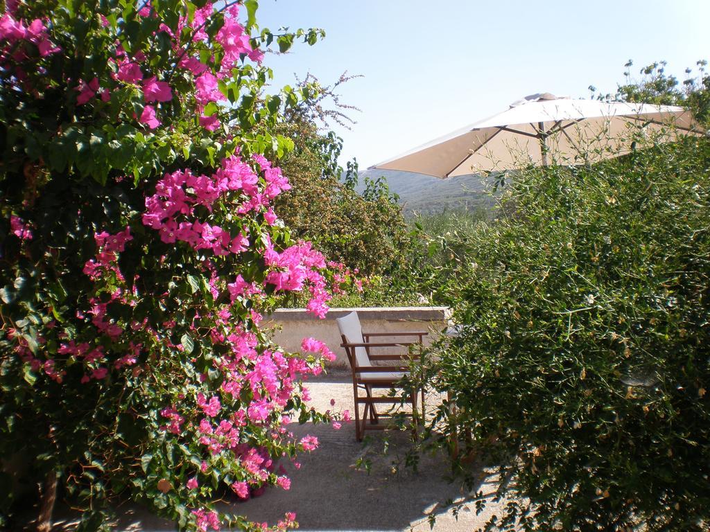 Villa Ouranos Kíszamosz Kültér fotó